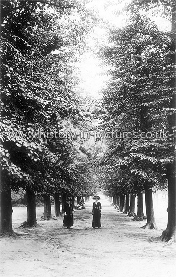 The Avenue, Bushwood, Leytonstone, London. c.1912